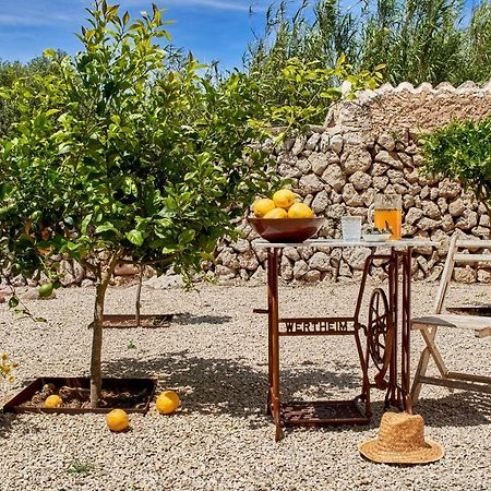 Agroturismo Turmaden Des Capita 알라이오르 외부 사진