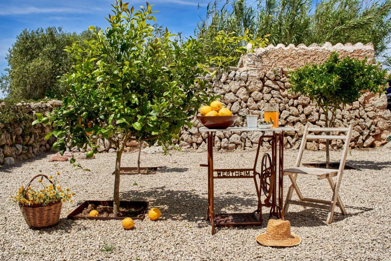 Agroturismo Turmaden Des Capita 알라이오르 외부 사진